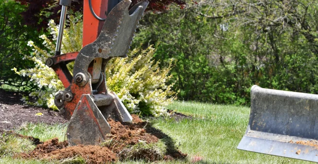 Stump Grinding